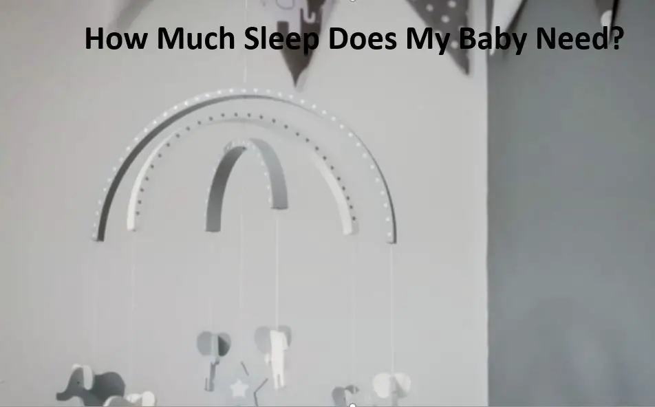 How much sleep does my baby need - babe in dreamland