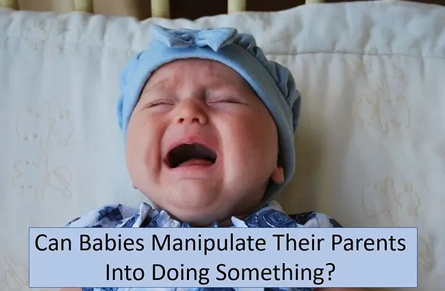 Can Babies Manipulate Their Parents Into Doing Something - babe in dreamland
