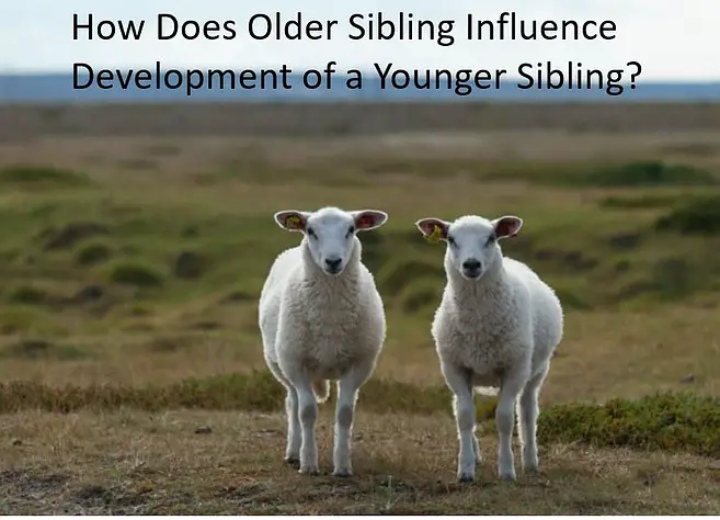 How Does Older Sibling Influence Development of a Younger Sibling - Babe in Dreamland