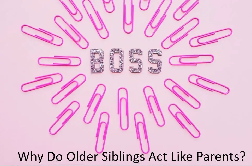 Why Do Older Siblings Act Like Parents? - Babe in Dreamland