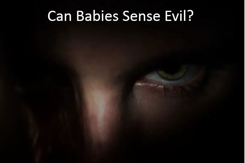 Can Babies Sense Evil? - Babe in Dreamland