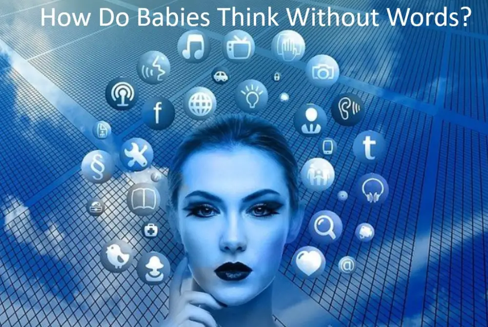 How Do Babies Think Without Words?  -Babe in Dreamland